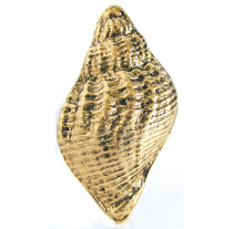 Emenee OR106 Traditional Seashell Cabinet Knob shown in Antique Matte Gold (AMG)