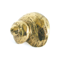 Emenee OR424 Turban Conch Cabinet Knob in Antique Bright Gold (ABG)