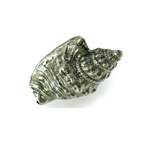 Emenee OR426 Hawk Wing Conch Cabinet Knob in Antique Bright Silver (ABS)