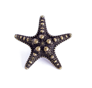 Emenee OR421 Sea Star Cabinet Knob in Antique Matte Copper (ACO)